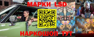 ПСИЛОЦИБИНОВЫЕ ГРИБЫ Заволжье