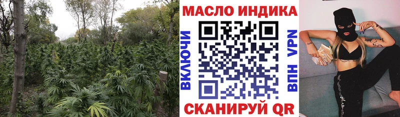 MEGA   Холмск  Дистиллят ТГК гашишное масло 