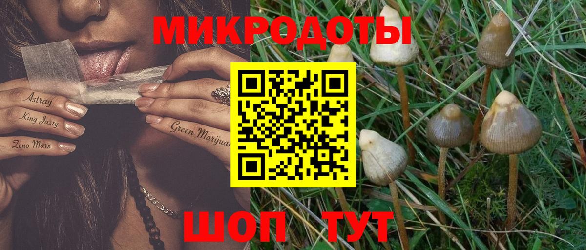Галлюциногенные грибы Magic Shrooms  Вход с VPN  Псилоцибиновые грибы Psilocybine cubensis  Холмск 